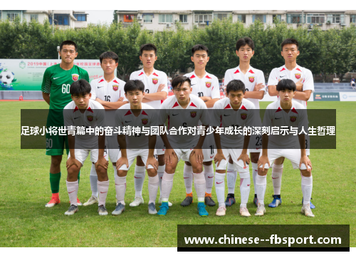 足球小将世青篇中的奋斗精神与团队合作对青少年成长的深刻启示与人生哲理