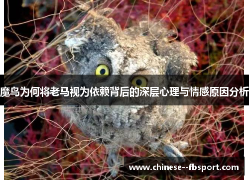 魔鸟为何将老马视为依赖背后的深层心理与情感原因分析
