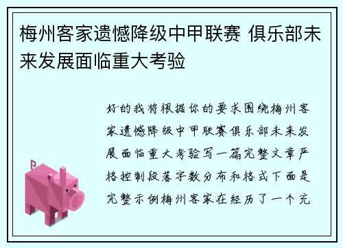 梅州客家遗憾降级中甲联赛 俱乐部未来发展面临重大考验