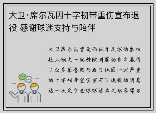 大卫·席尔瓦因十字韧带重伤宣布退役 感谢球迷支持与陪伴